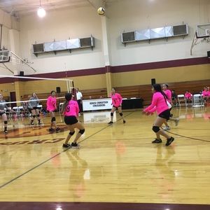 Meet your Posher, Misty